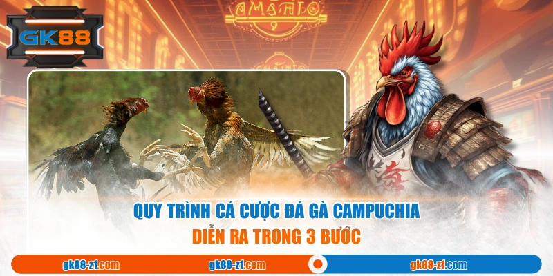 Quy trình cá cược Đá Gà Campuchia diễn ra trong 3 bước